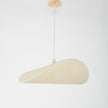 Modern Ceiling Lamp 088