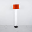 Modern Floor Lamp 161