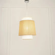 Modern Ceiling Lamp 070