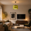 Modern Ceiling Lamp 022