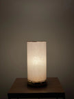 Modern Table Lamp 037